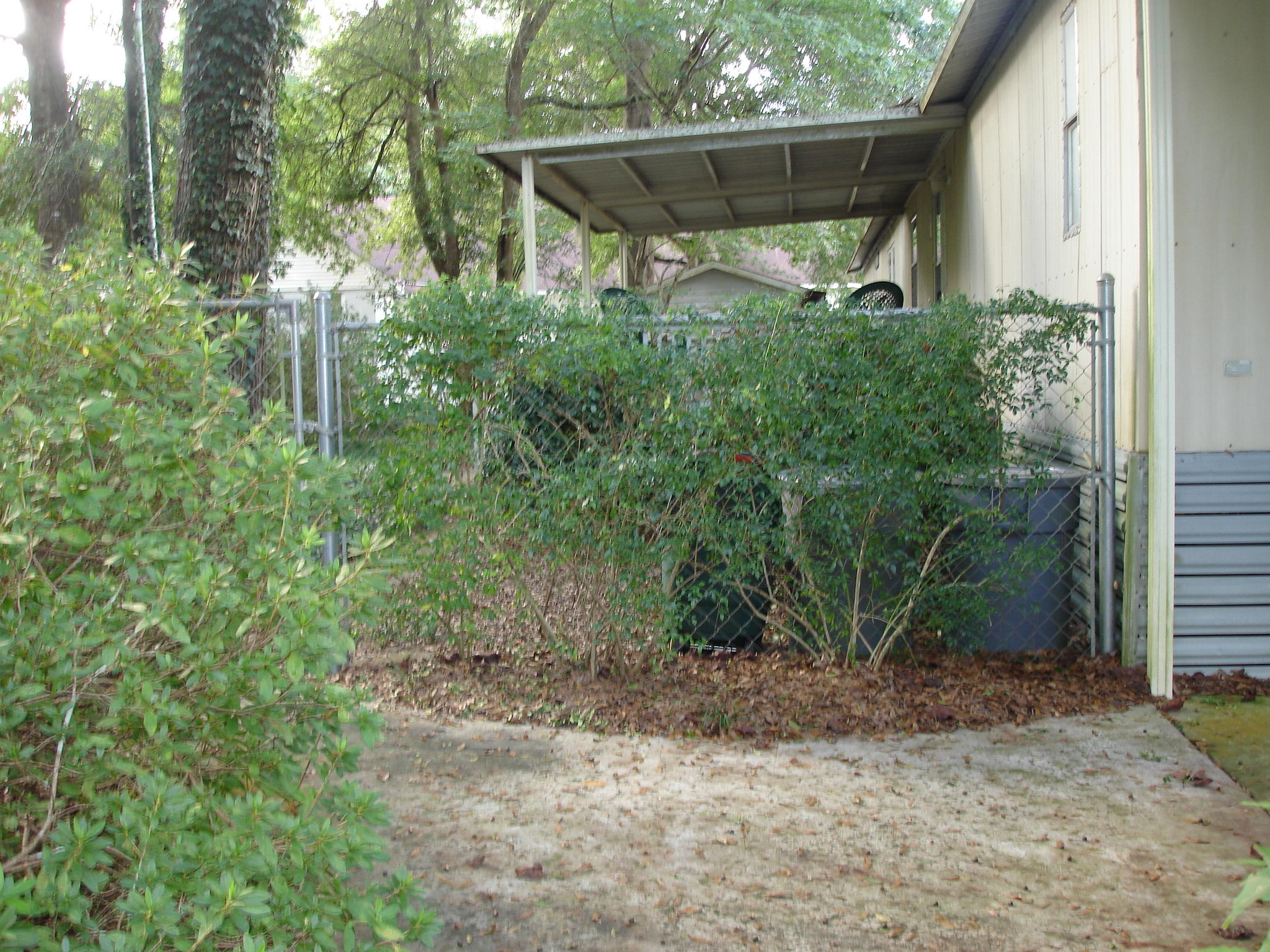 5657 Old Jacksonboro Road Ravenel, SC 29470 - Photo 8 of 35 Old Jacksonboro - Judith Crane (32)