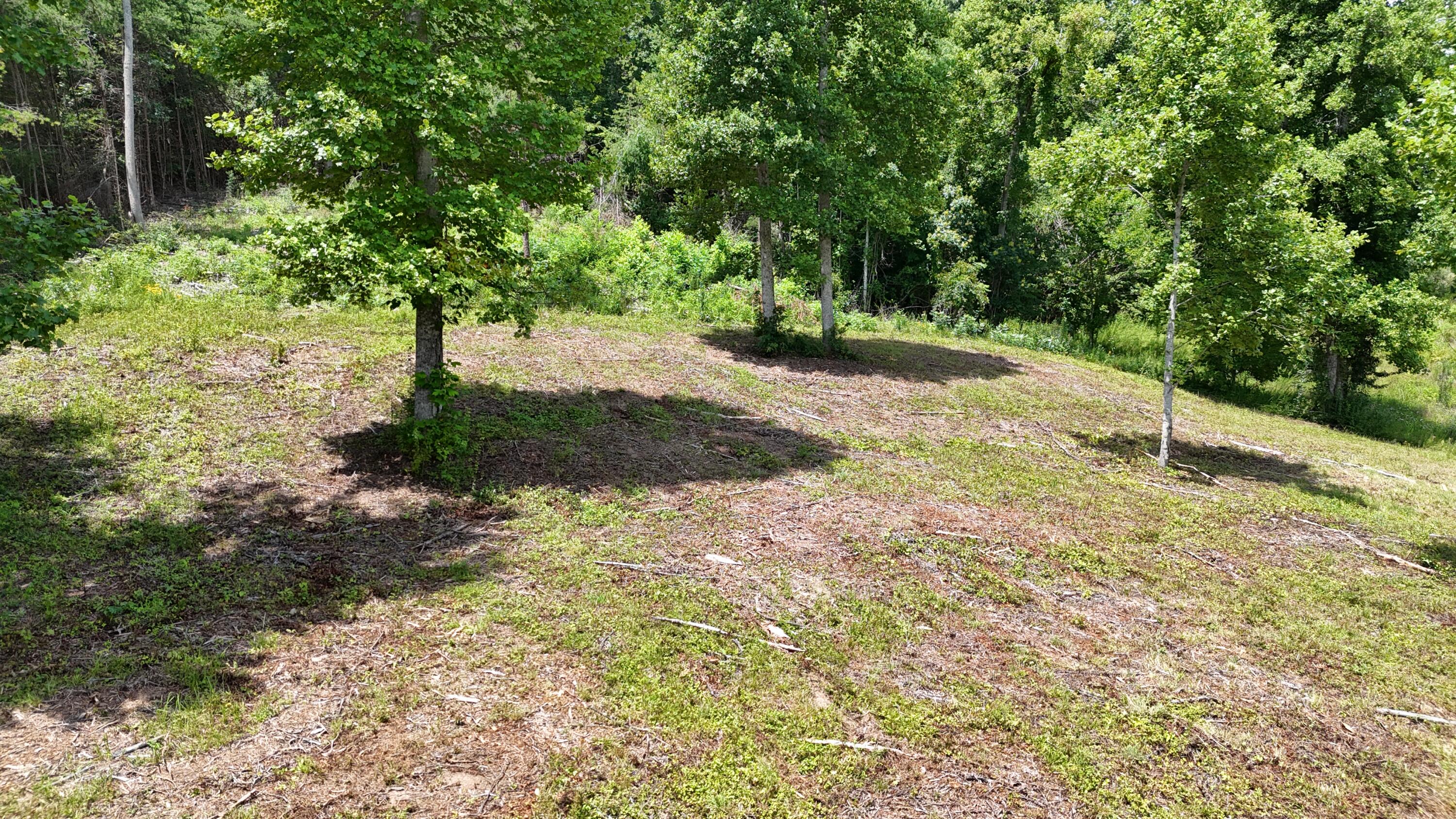 999 Lick Fork Road London, KY 40741 - Photo 17 of 21 DJI_20260717124517_0293_D