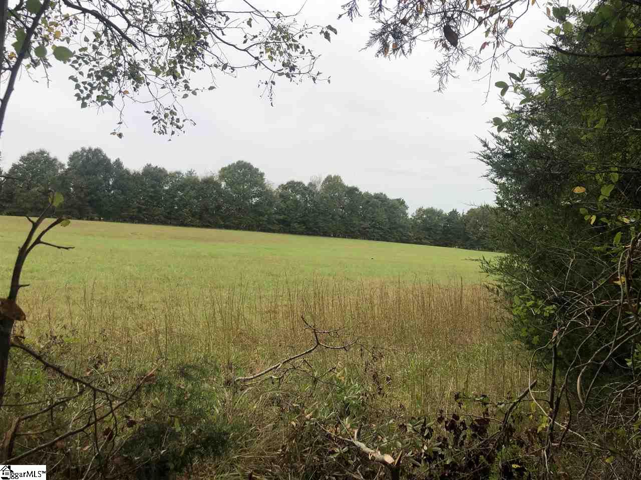 Moores Farm Road Gaffney, SC 29340 - Photo 1 of 2 Gallery Image 1
