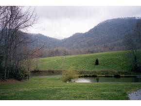 172 Ray Simerly Road Hampton, TN 37658 - Photo 4 of 4 Photo 4