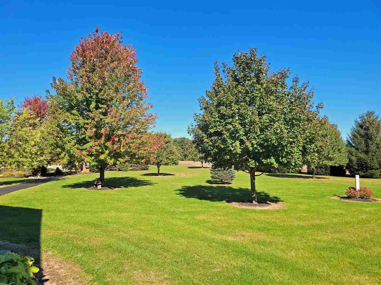 9386 Gary Road Chesaning, MI 48616 - Photo 25 of 58 Gallery Image 25