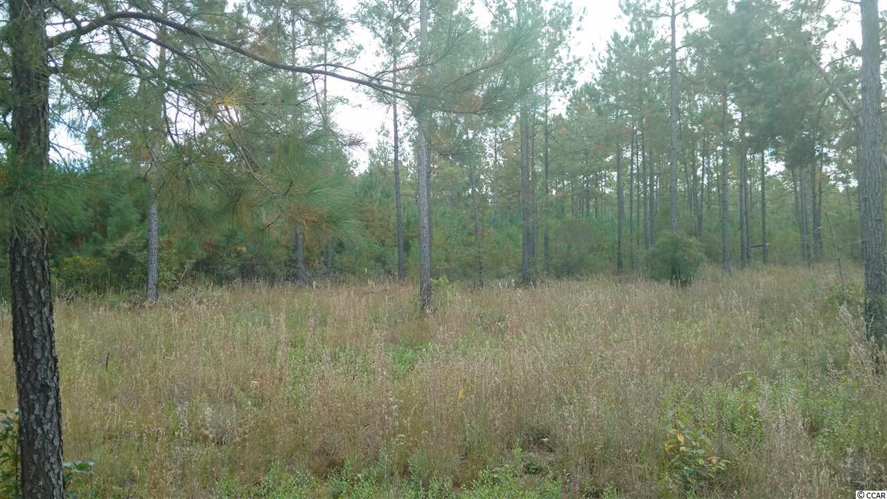 Lot 13 Samworth Loop Georgetown, SC 29440 - Photo 1 of 9 Gallery Image 1