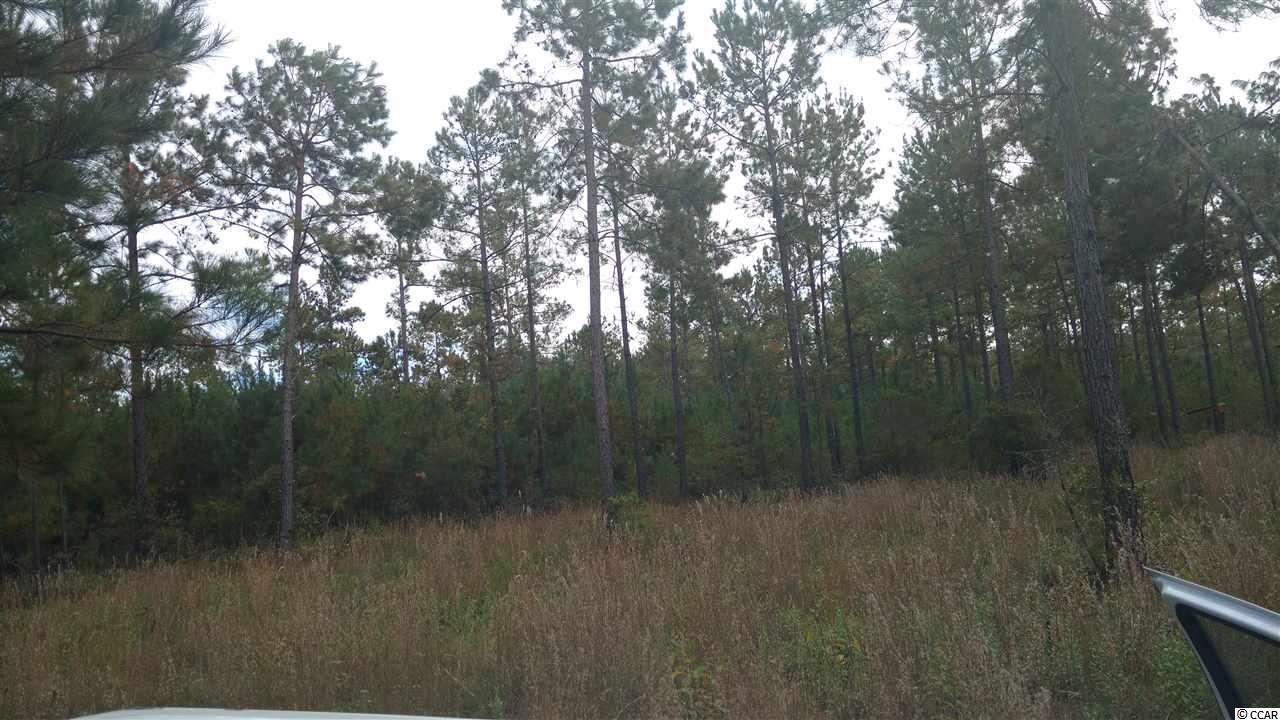 Lot 13 Samworth Loop Georgetown, SC 29440 - Photo 2 of 9 Gallery Image 2
