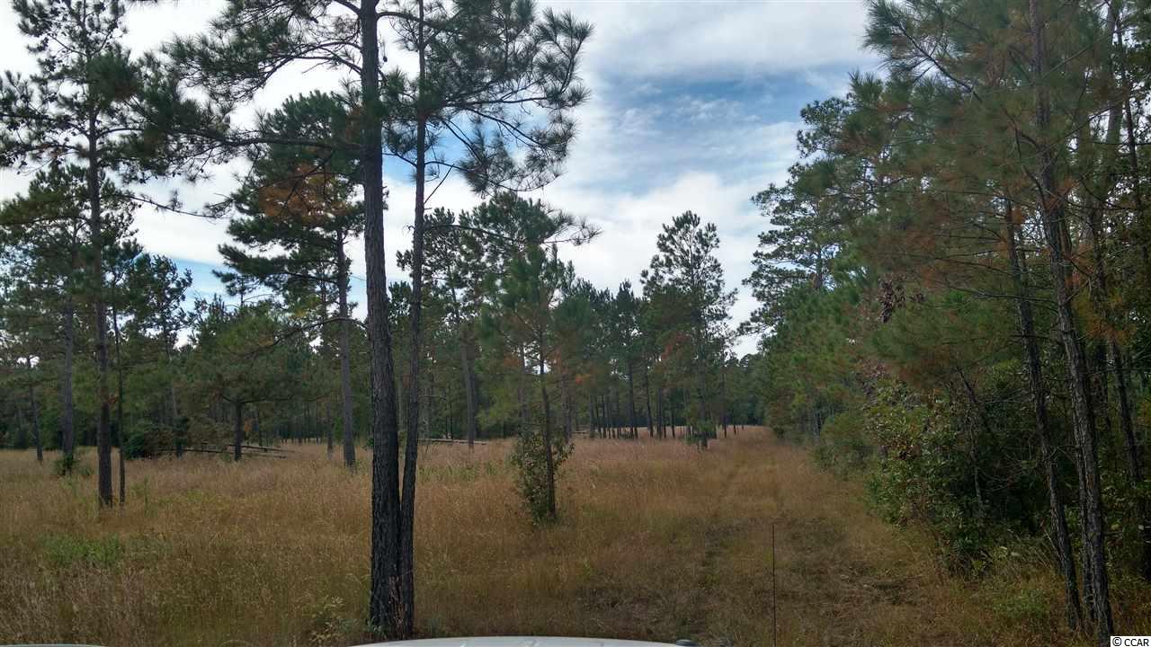 Lot 13 Samworth Loop Georgetown, SC 29440 - Photo 4 of 9 Gallery Image 4