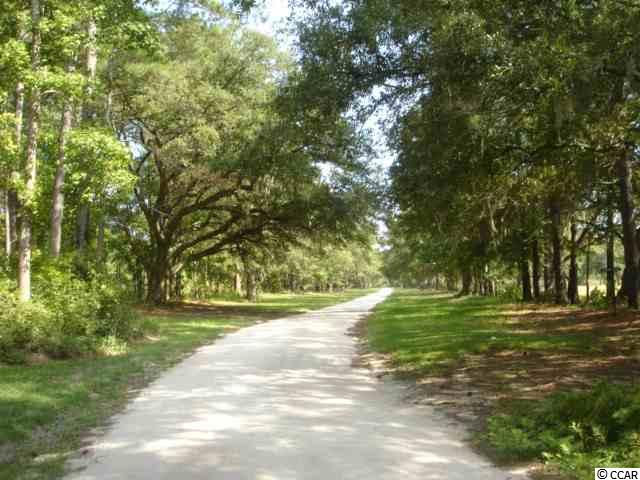 Lot 13 Samworth Loop Georgetown, SC 29440 - Photo 5 of 9 Gallery Image 5