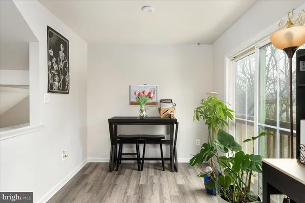 a workspace with furniture and a potted plant