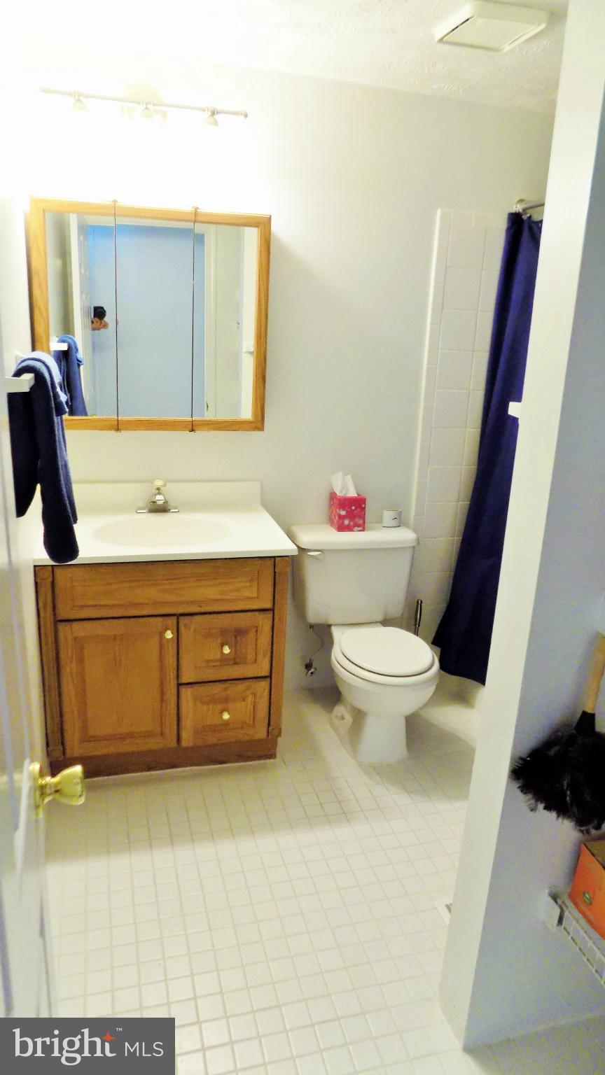 209 Contour Road Mount Airy, MD 21771 - Photo 11 of 16 Bath