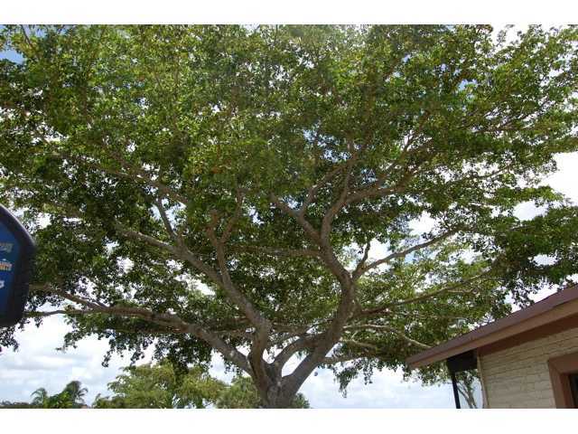 9892 Boca Gardens Trail, Unit B Boca Raton, FL 33496 - Photo 11 of 11 Additional Photo