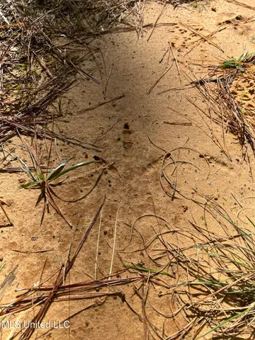 $192,000 | 613 North Of Co, Shubuta, MS 39360