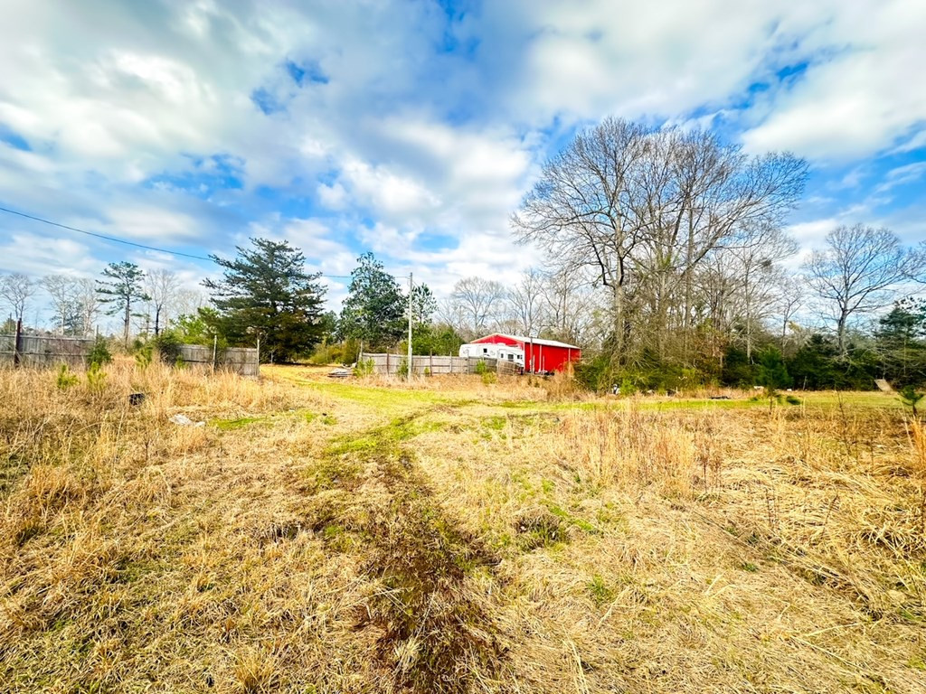 2132 Ole Springs Road Summit, MS 39666 - Photo 11 of 23 Photo 11