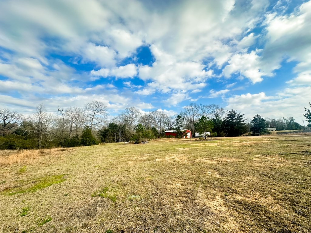 2132 Ole Springs Road Summit, MS 39666 - Photo 12 of 23 Photo 12