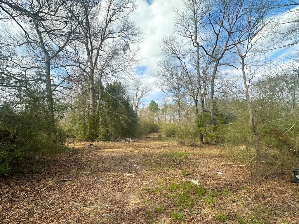 2132 Ole Springs Road Summit, MS 39666 - Photo 17 of 23 Photo 17