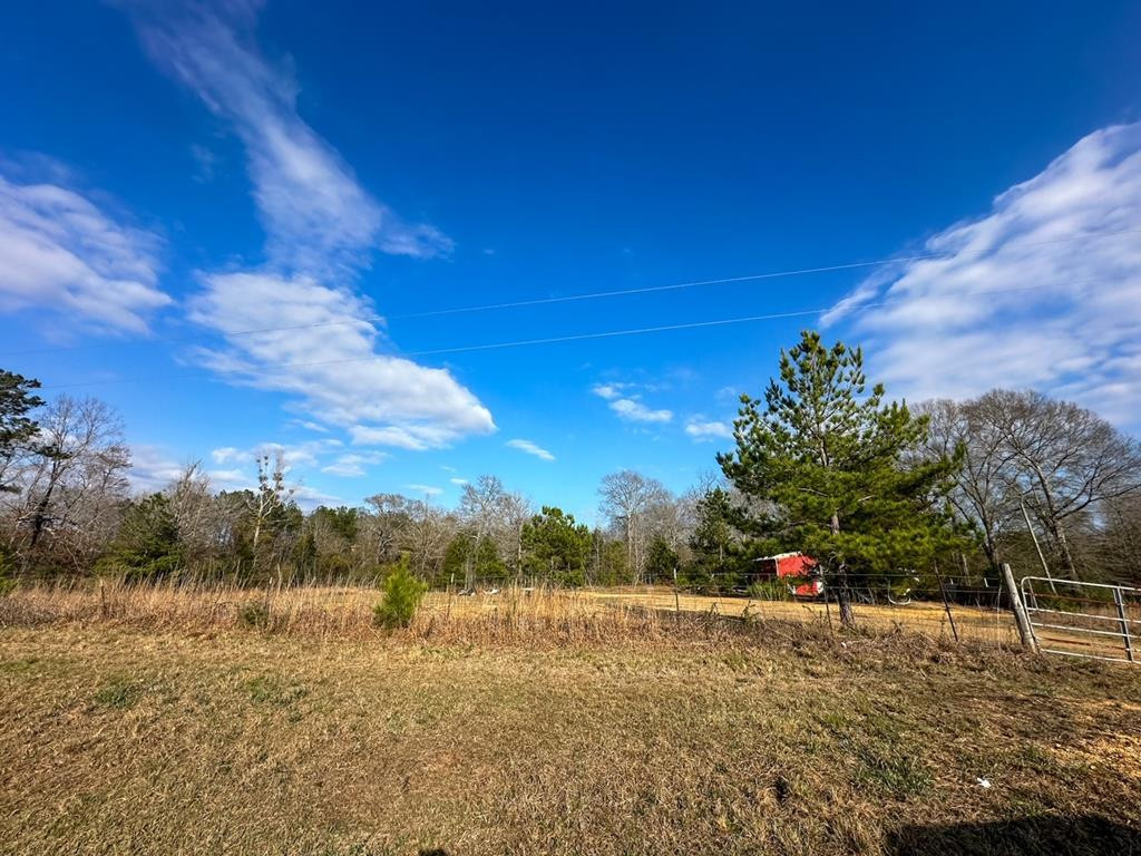 2132 Ole Springs Road Summit, MS 39666 - Photo 2 of 23 Photo 2