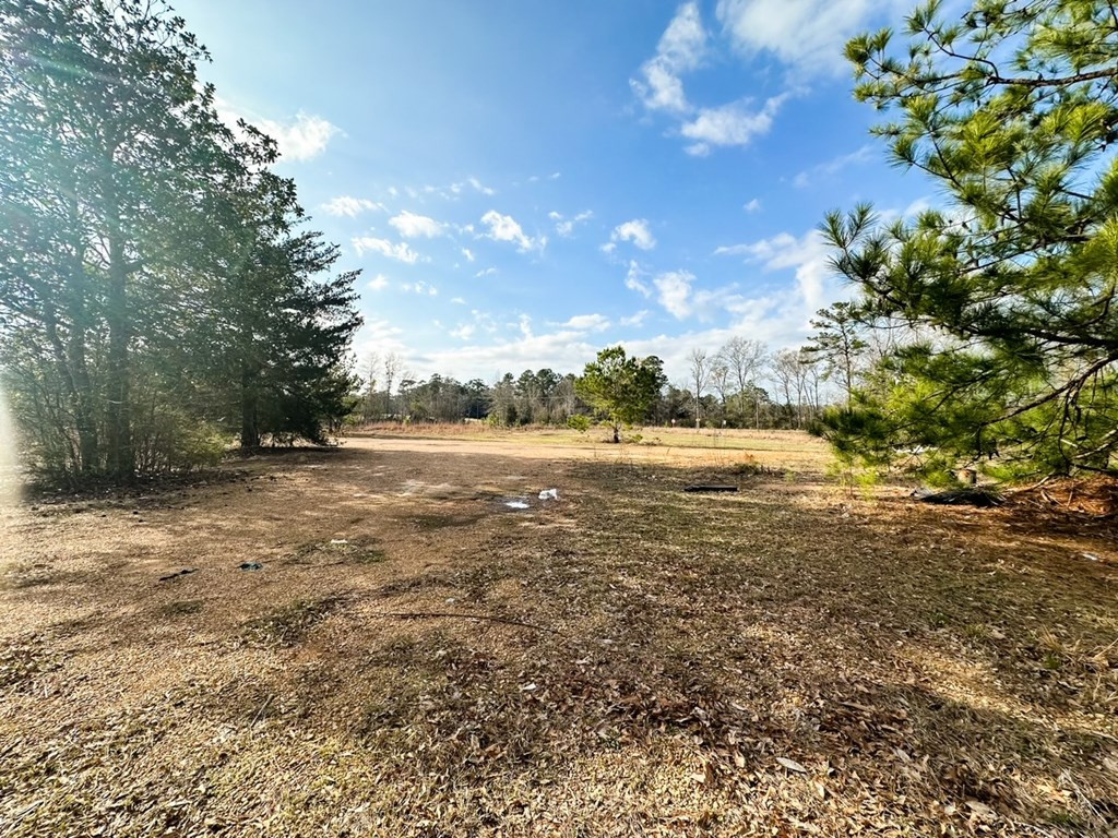 2132 Ole Springs Road Summit, MS 39666 - Photo 22 of 23 Photo 22