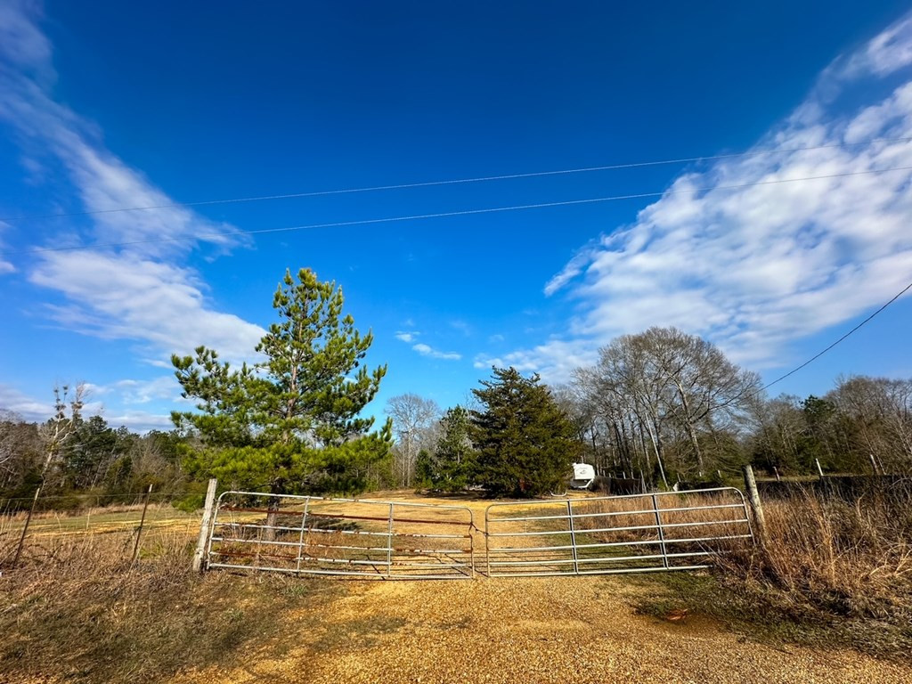 2132 Ole Springs Road Summit, MS 39666 - Photo 3 of 23 Photo 3