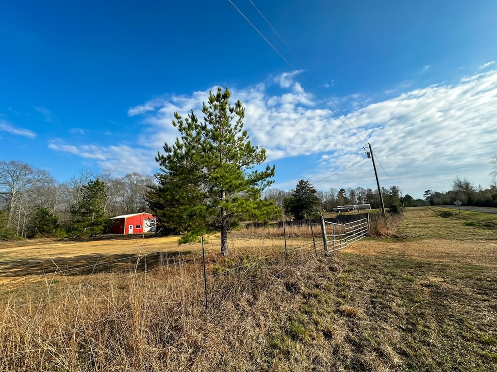 2132 Ole Springs Road Summit, MS 39666 - Photo 4 of 23 Photo 4
