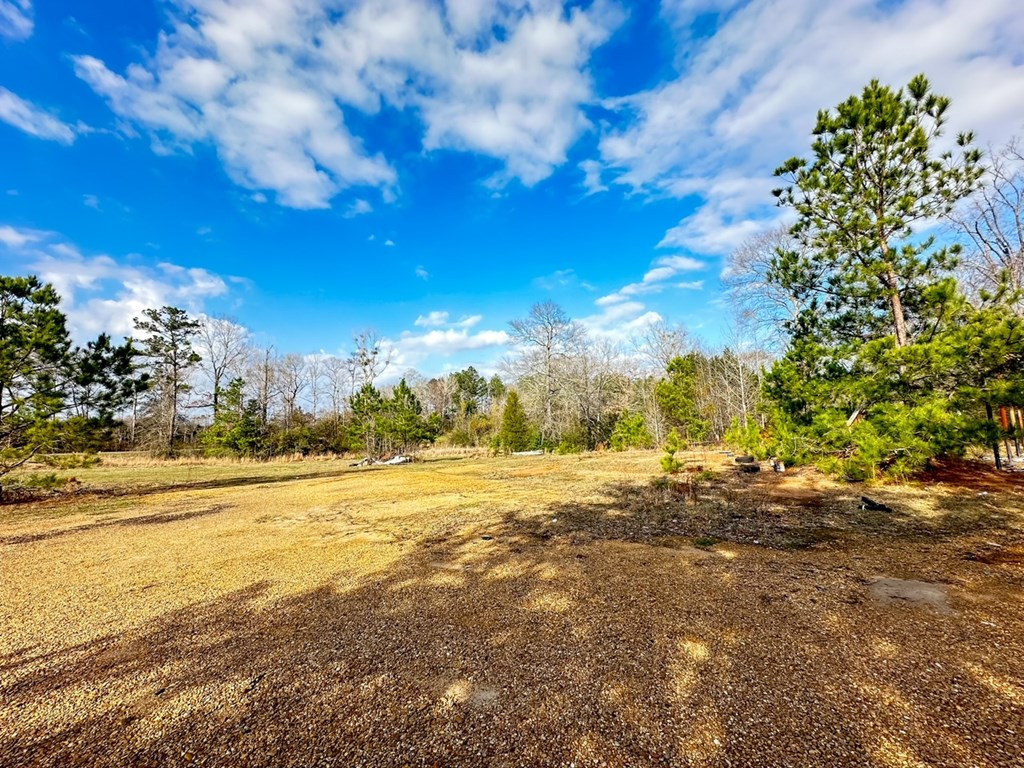 2132 Ole Springs Road Summit, MS 39666 - Photo 5 of 23 Photo 5