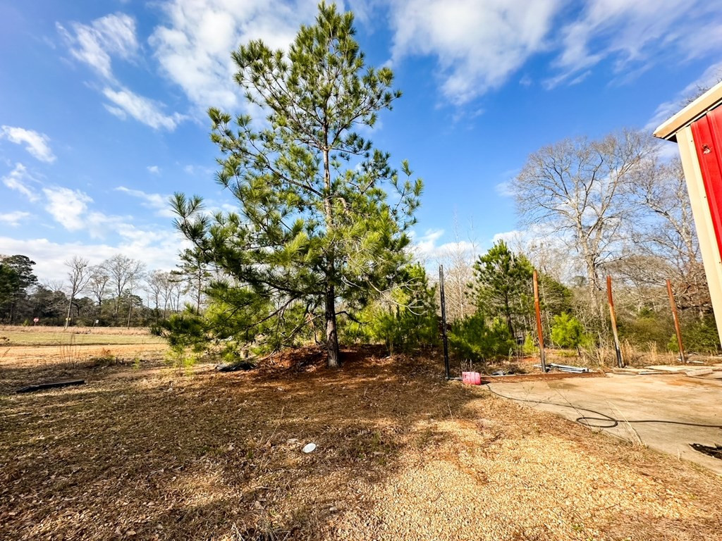 2132 Ole Springs Road Summit, MS 39666 - Photo 9 of 23 Photo 9