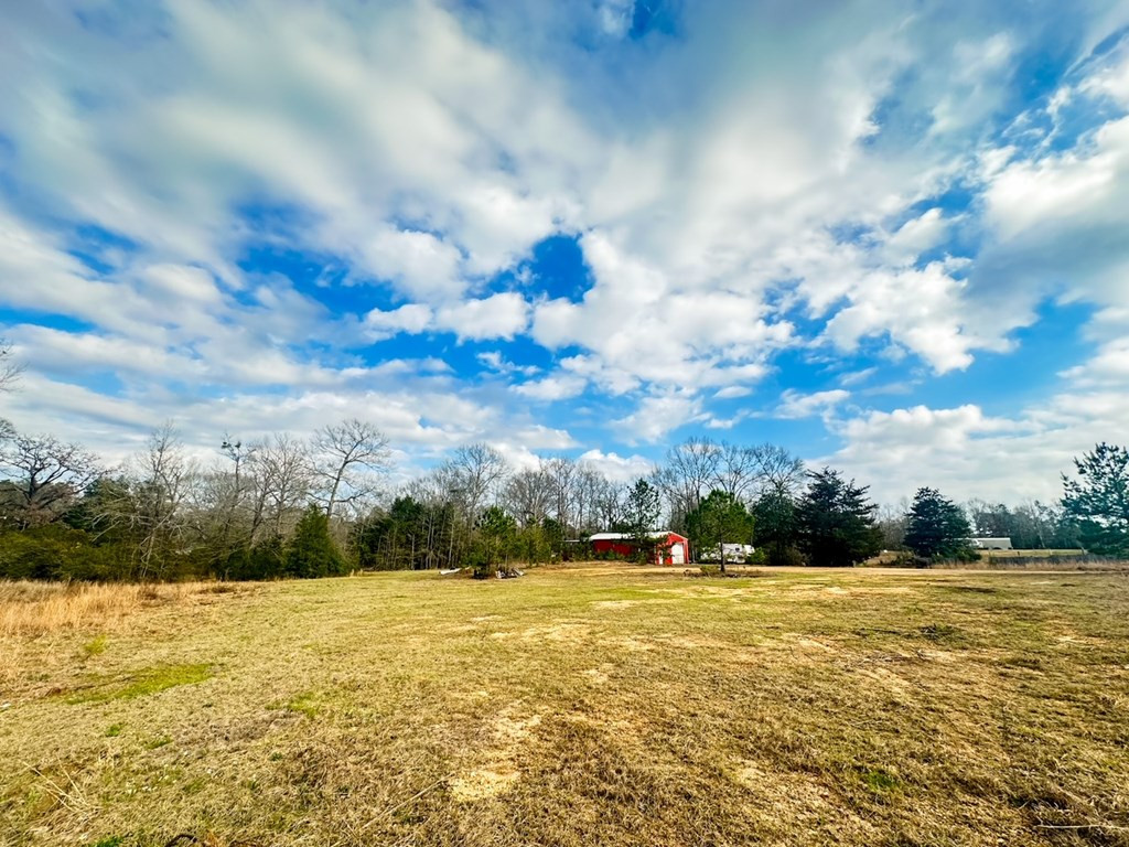 2132 Ole Springs Road Summit, MS 39666 - Photo 10 of 23 Photo 10