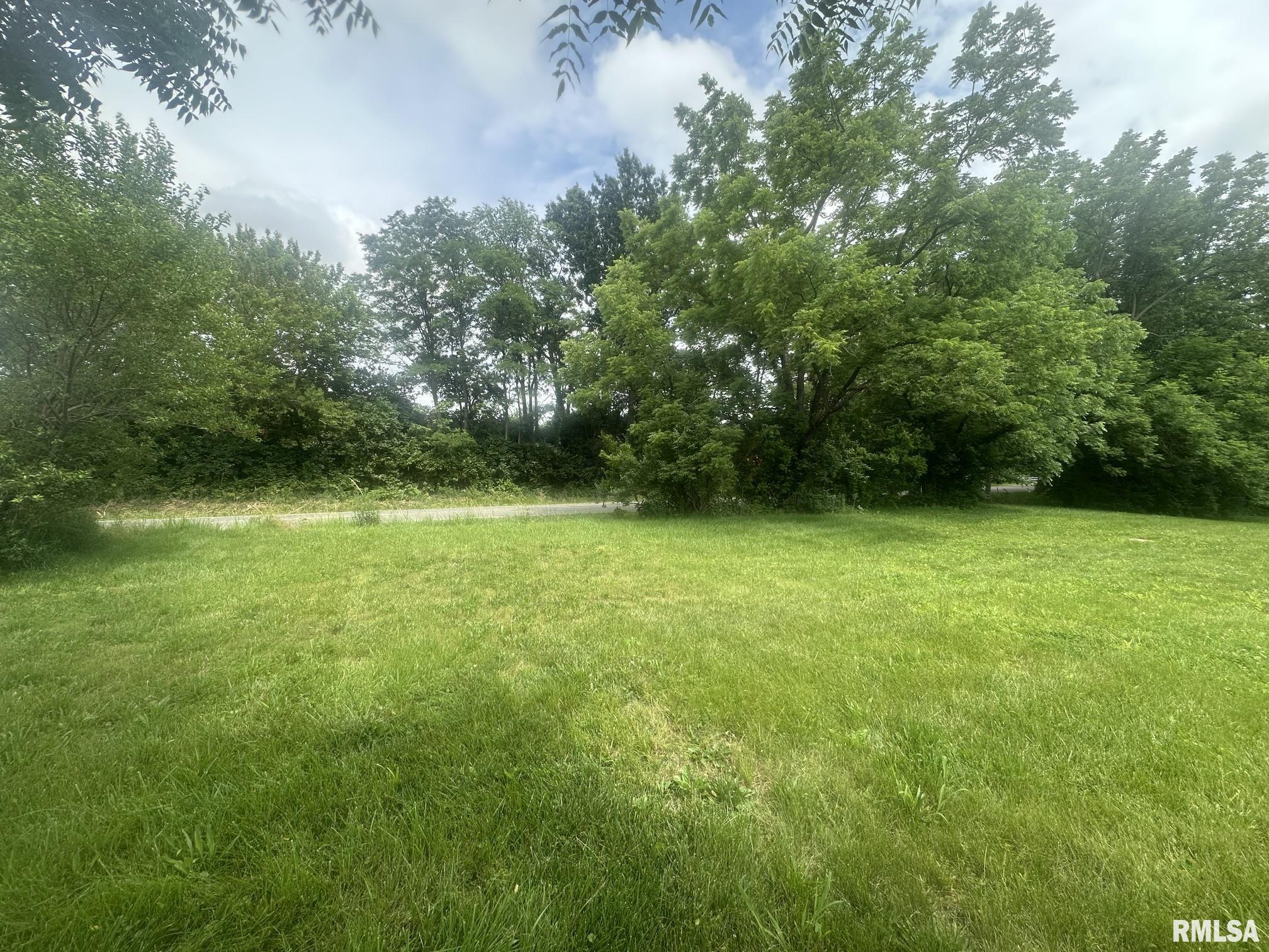 2035 Ladue Road Woodson, IL 62695 - Photo 4 of 7