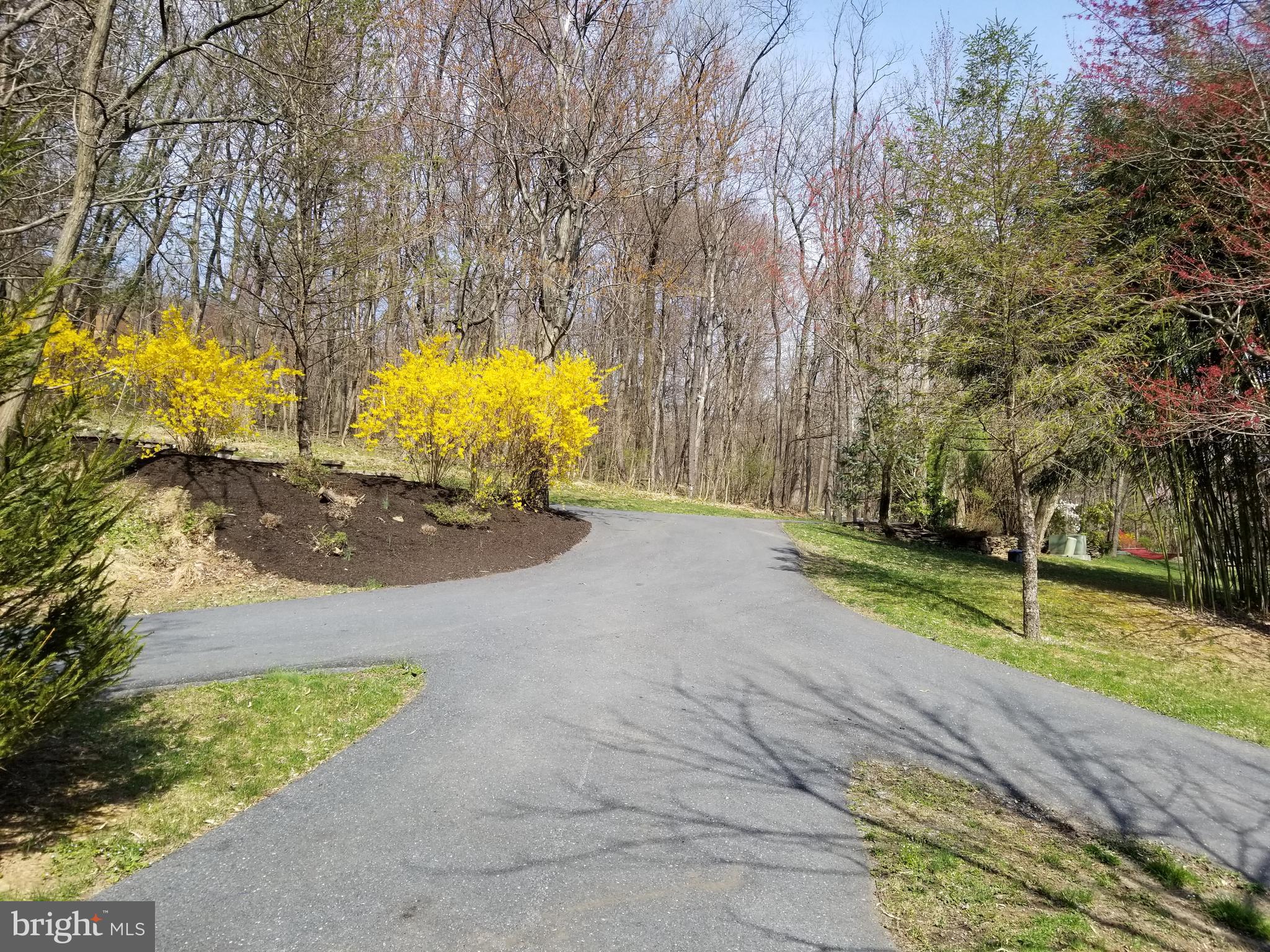 4729 Mountain View Road Harrisburg, PA 17110 - Photo 103 of 113 Outbuilding driveway