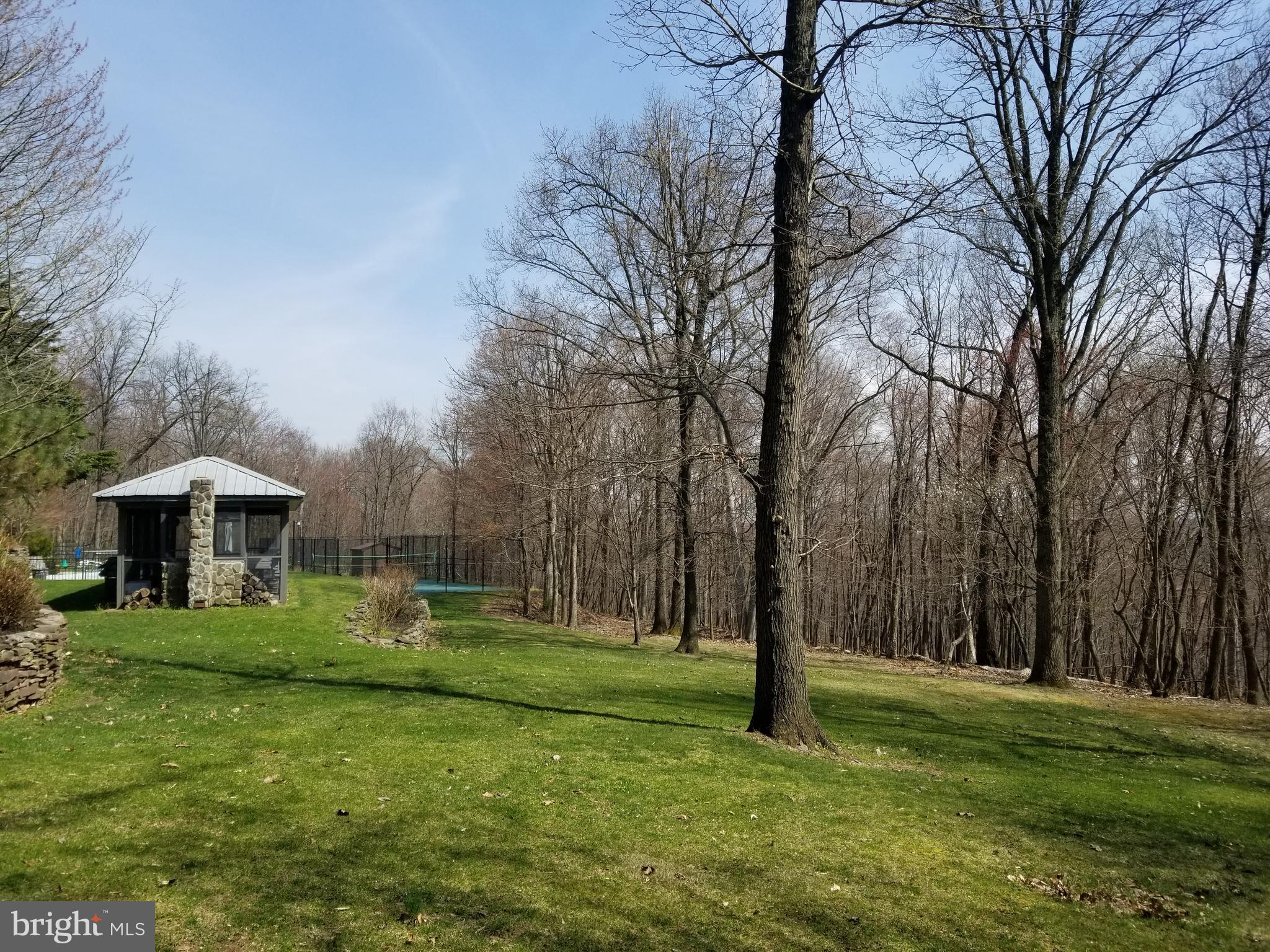 4729 Mountain View Road Harrisburg, PA 17110 - Photo 106 of 113 Pavilion & Pickleball court