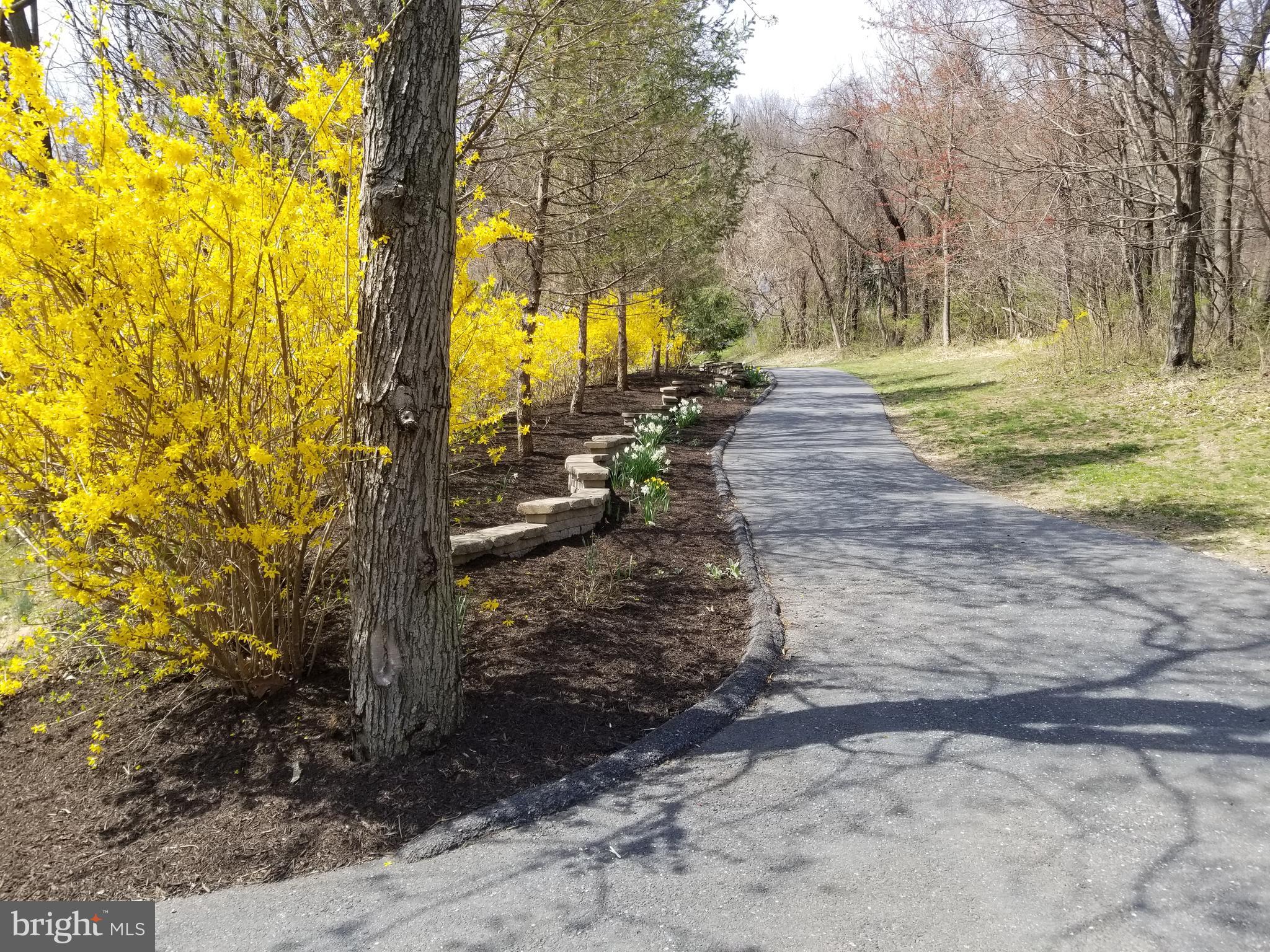 4729 Mountain View Road Harrisburg, PA 17110 - Photo 111 of 113 Spring foliage along the driveway