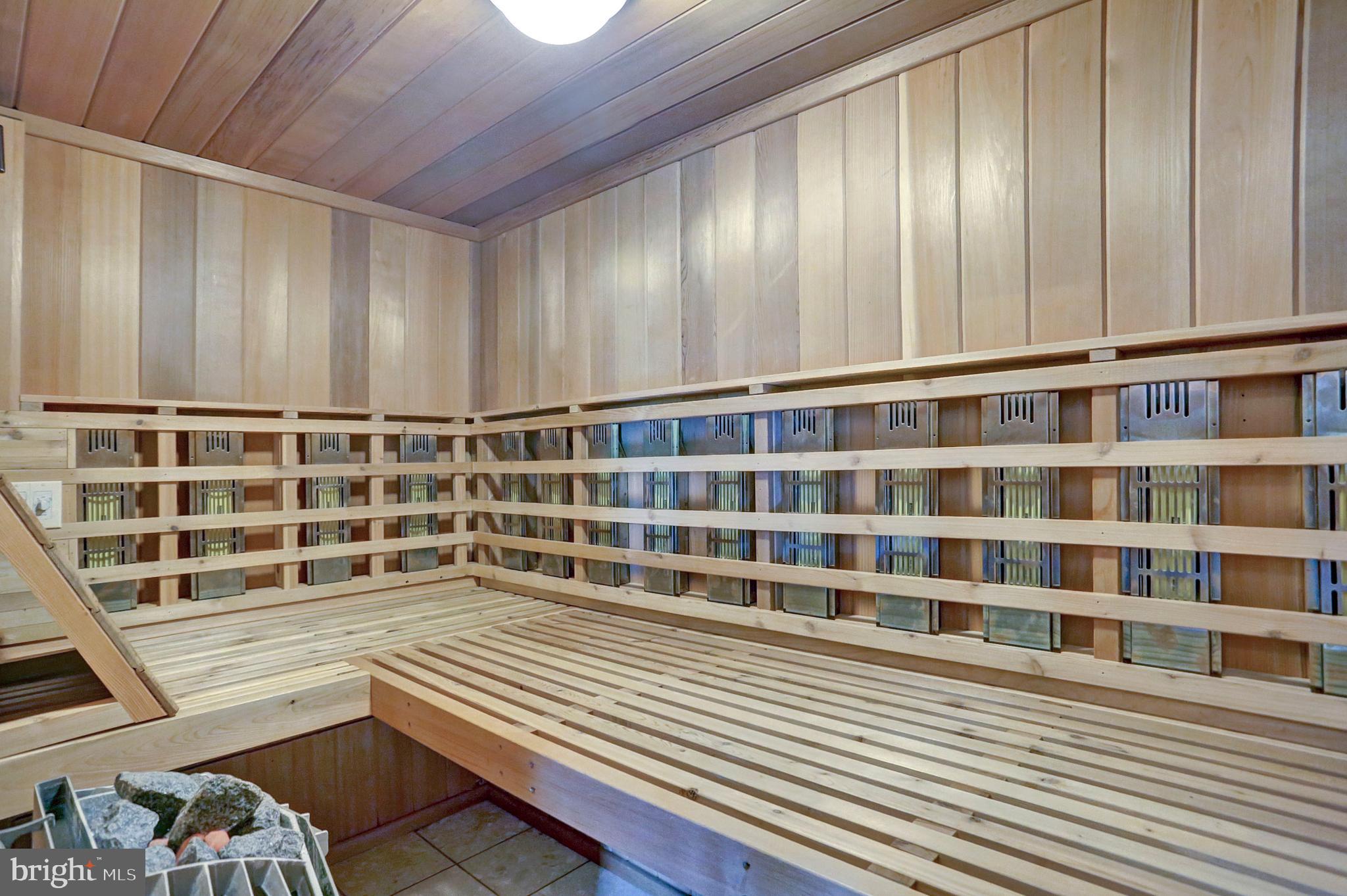 4729 Mountain View Road Harrisburg, PA 17110 - Photo 58 of 113 Sauna room