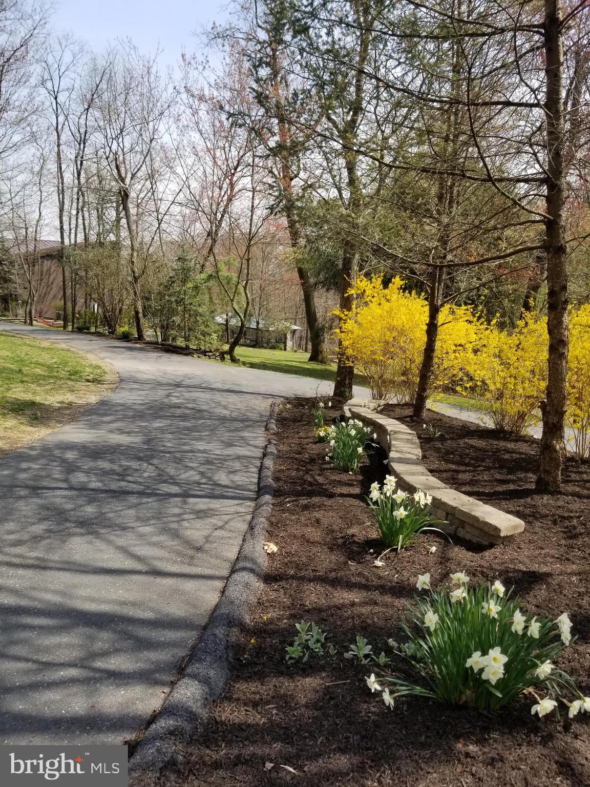 4729 Mountain View Road Harrisburg, PA 17110 - Photo 7 of 113 Gallery Image 7