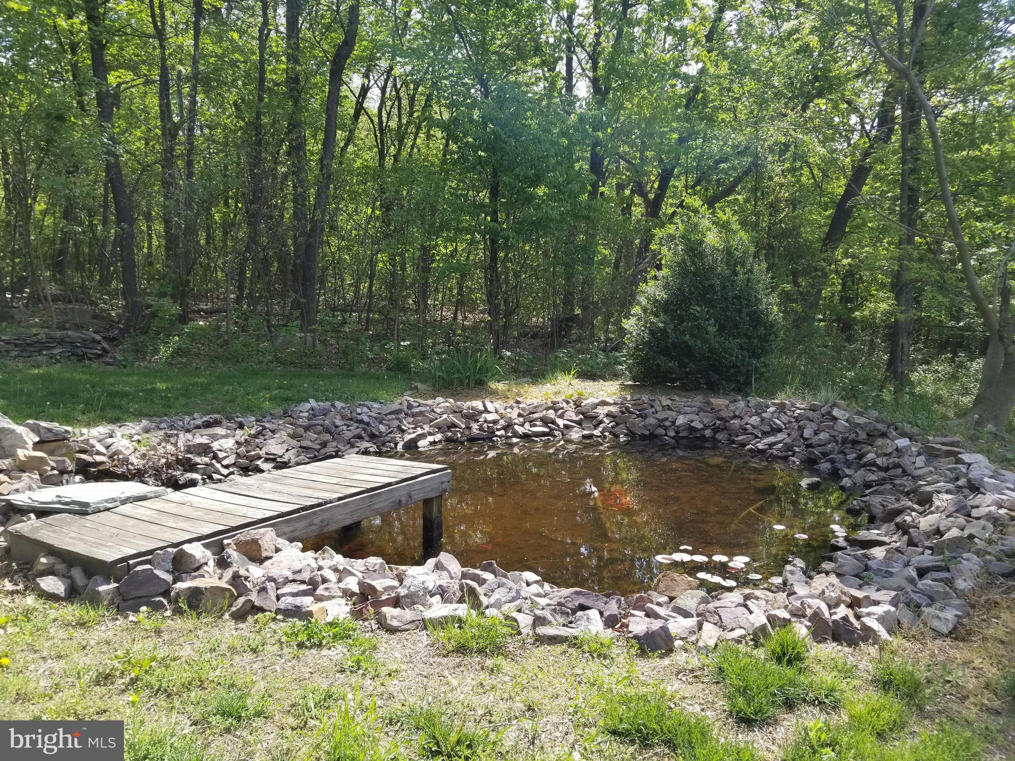 4729 Mountain View Road Harrisburg, PA 17110 - Photo 90 of 113 Koi pond with dock