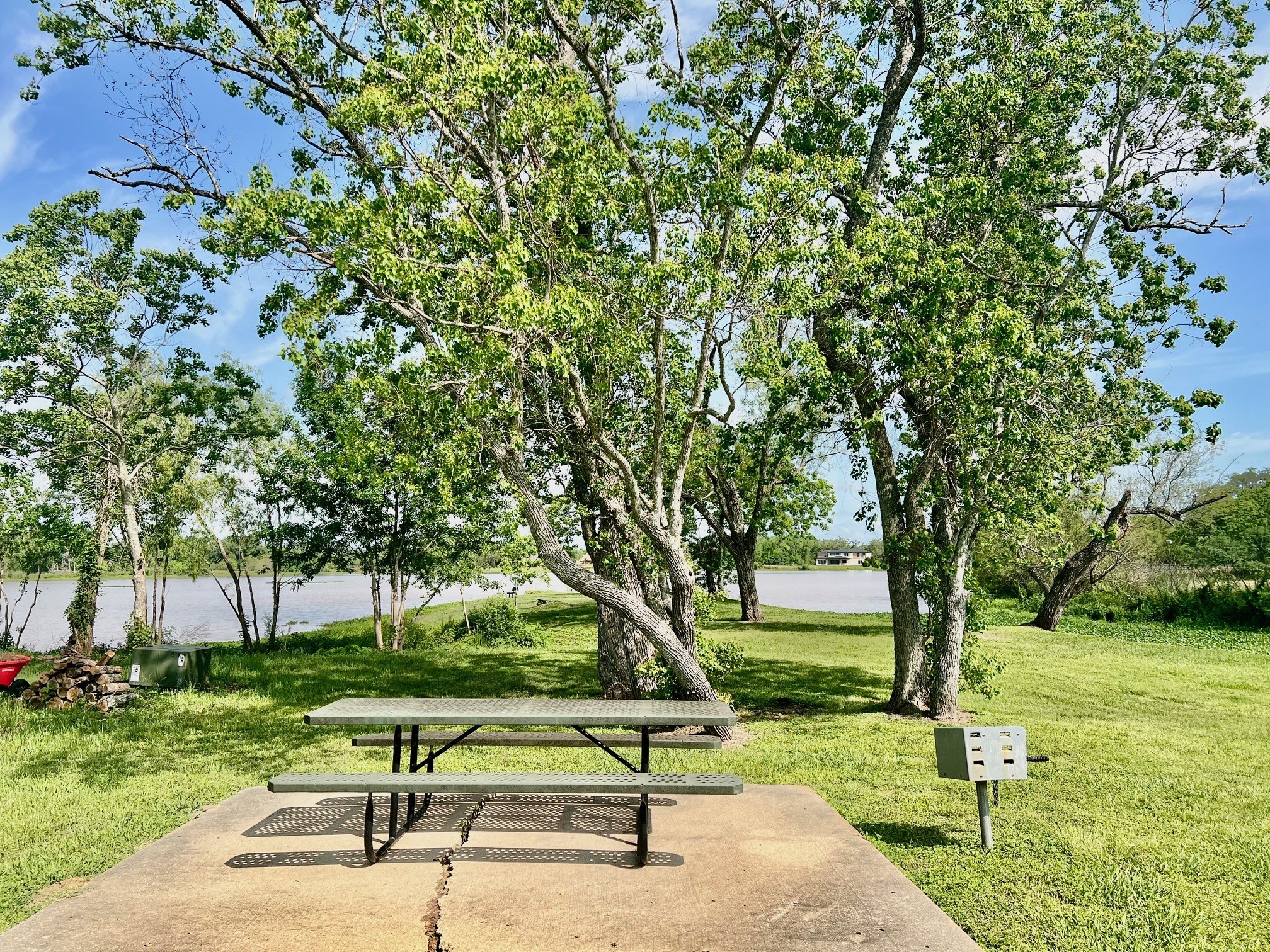 443 Lakeview Drive Angleton, TX 77515 - Photo 11 of 12 a view of a park with large trees