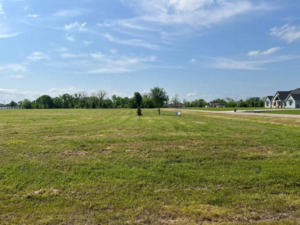 a view of swimming pool with lawn chairs and plants