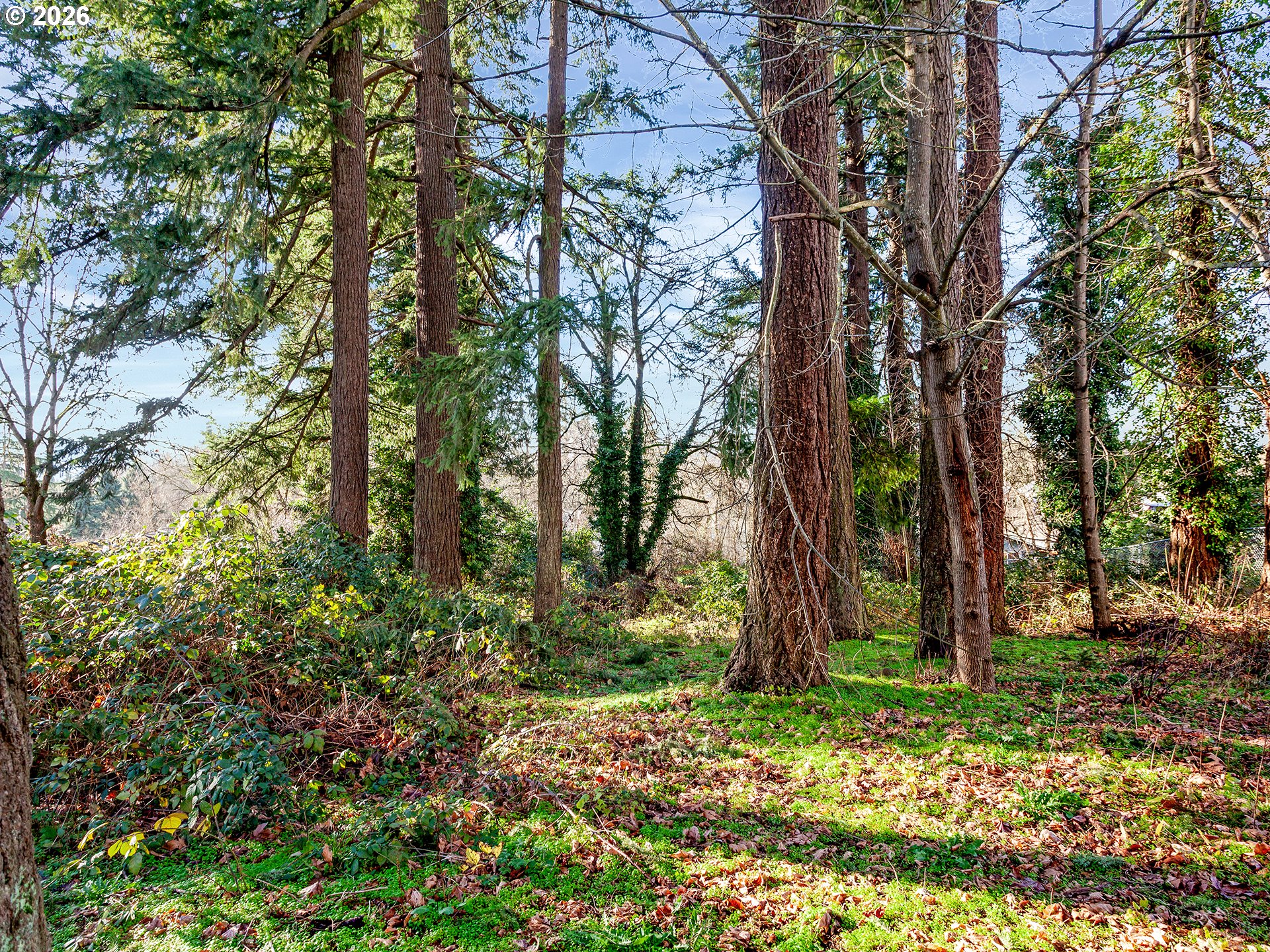 14601 Southeast River Road Milwaukie, OR 97267 - Photo 11 of 28 a backyard of a house with lots of green space