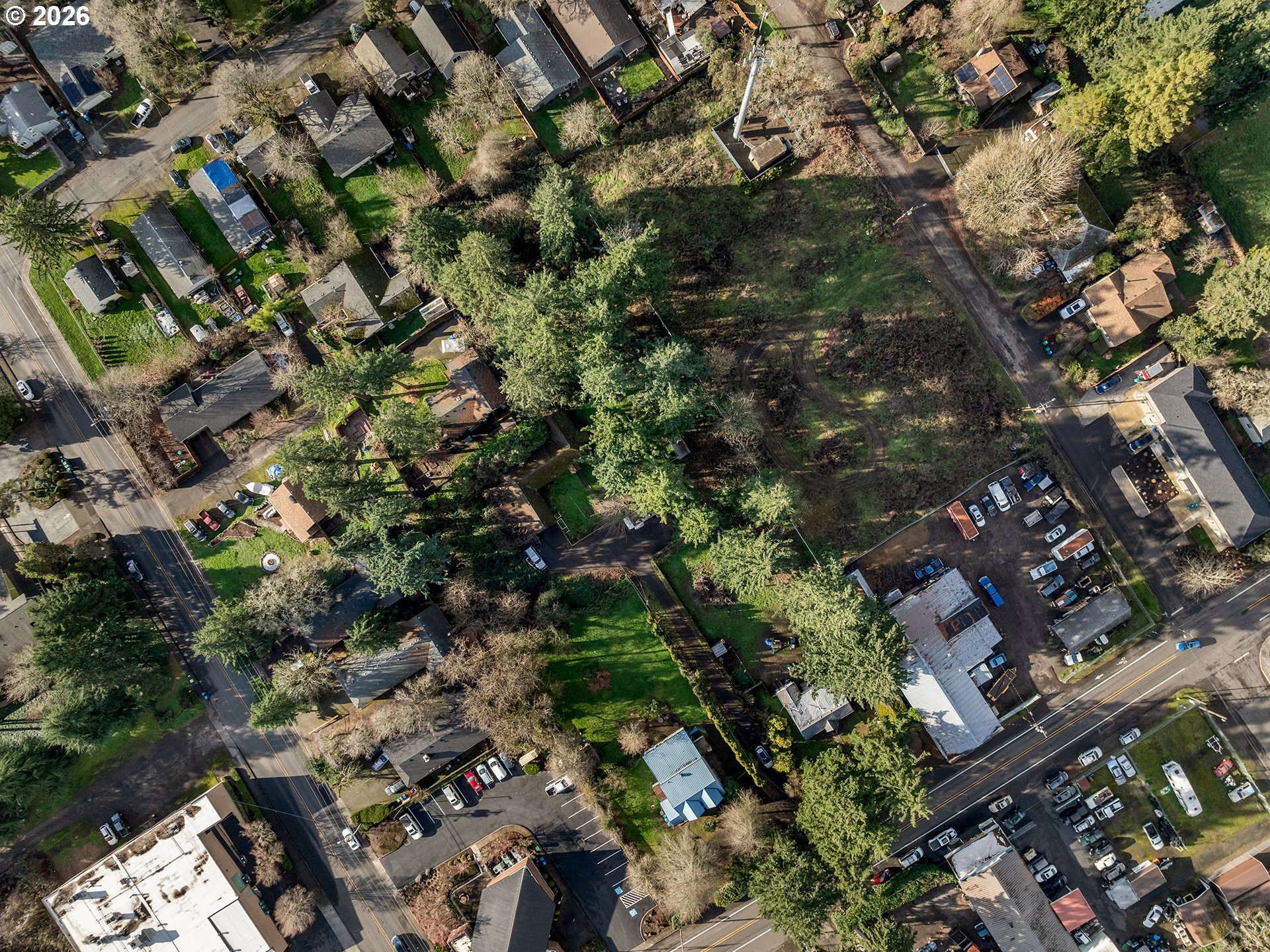 14601 Southeast River Road Milwaukie, OR 97267 - Photo 23 of 28 a picture of tree