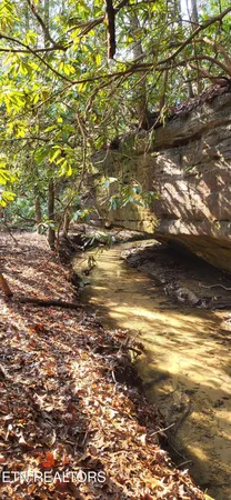 $367,400 | 2936 Leatherwood Ford Road, Jamestown, TN 38556