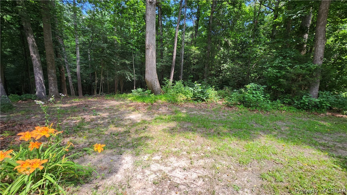 8065 Filly Run Road Gloucester, VA 23061 - Photo 33 of 33 View of backyard