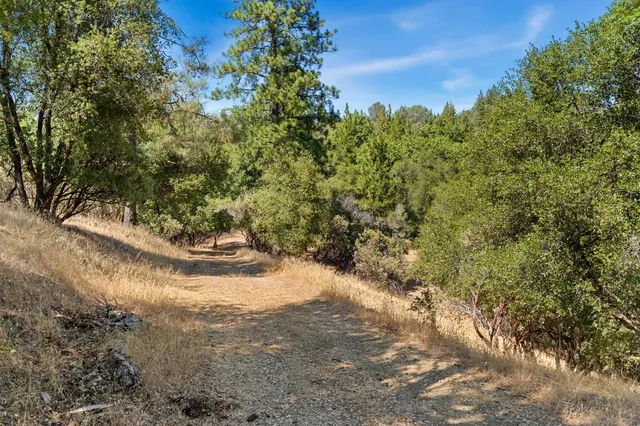 $919,000 | 2004 Bruin Trail, Placerville, CA 95667