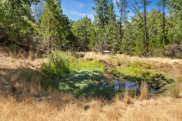 $919,000 | 2004 Bruin Trail, Placerville, CA 95667