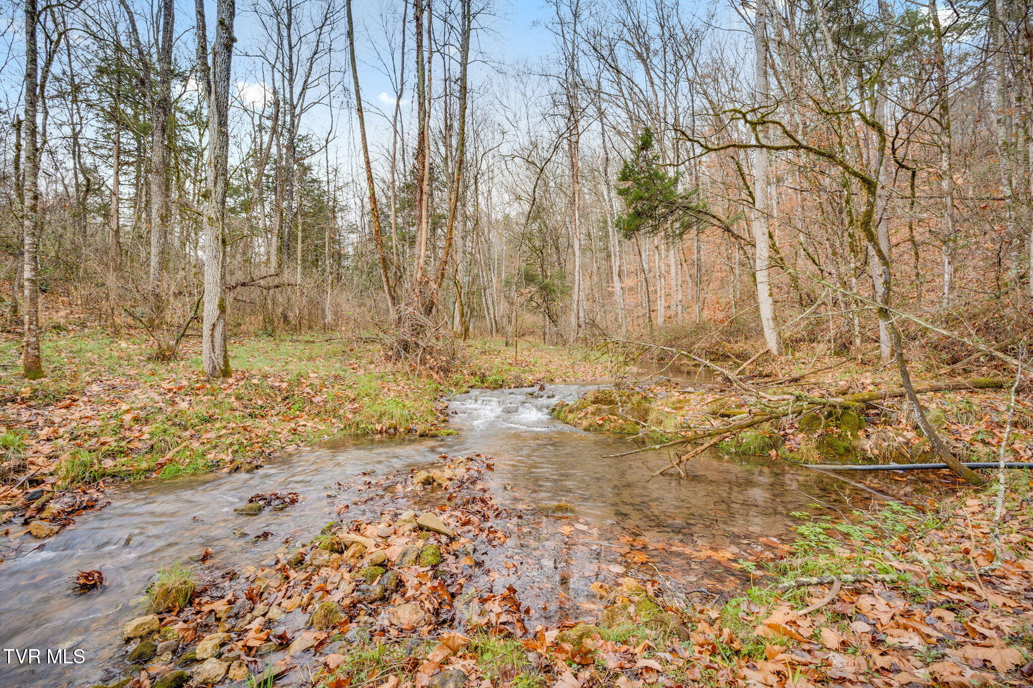 2309 Shavers Ford Road Pennington Gap, VA 24277 - Photo 5 of 29 005
