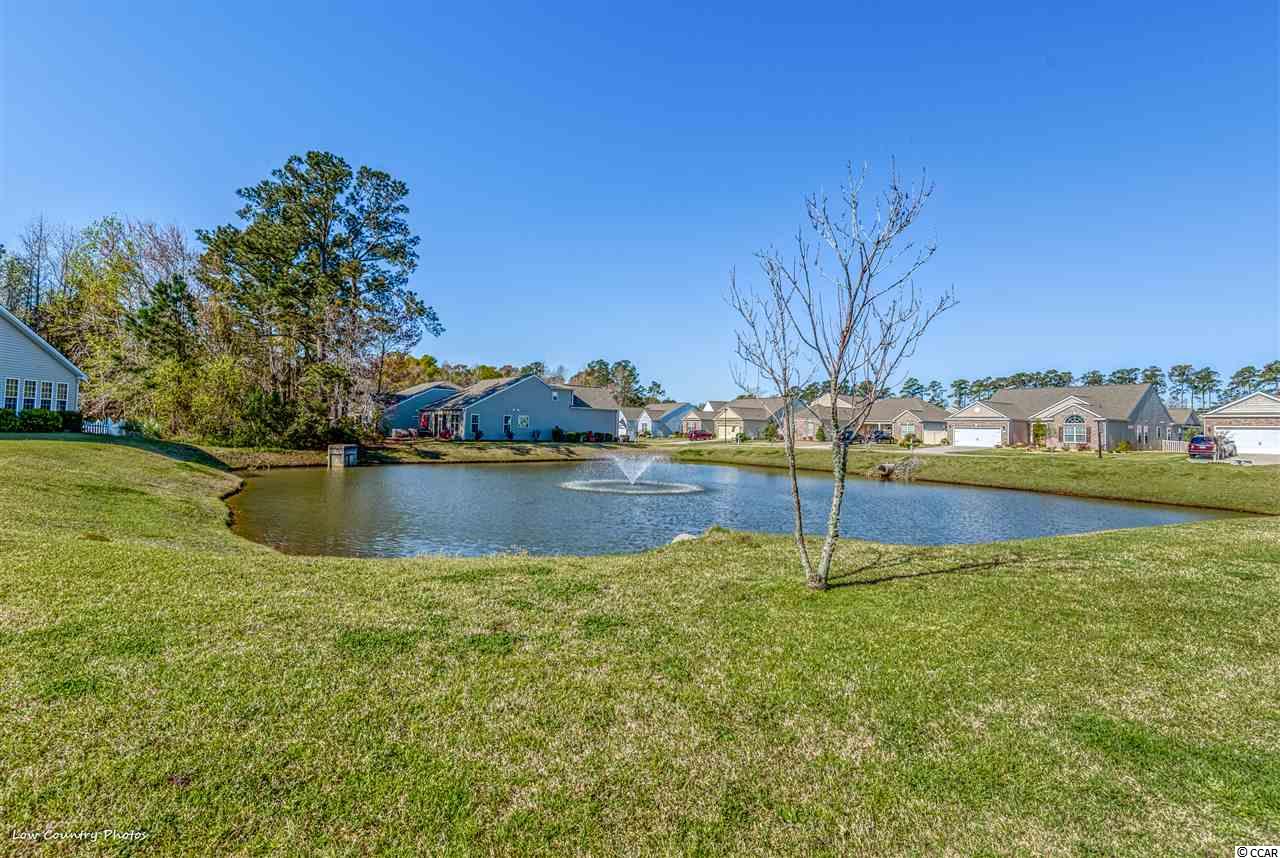 220 Fox Den Drive Murrells Inlet, SC 29576 - Photo 30 of 35 Gallery Image 30
