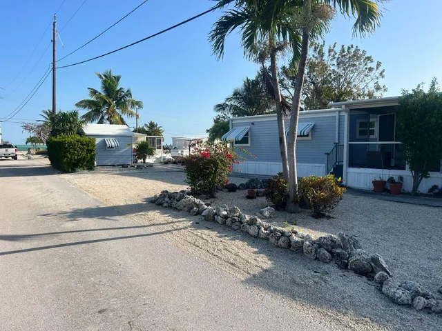 a row of palm trees in front of a house