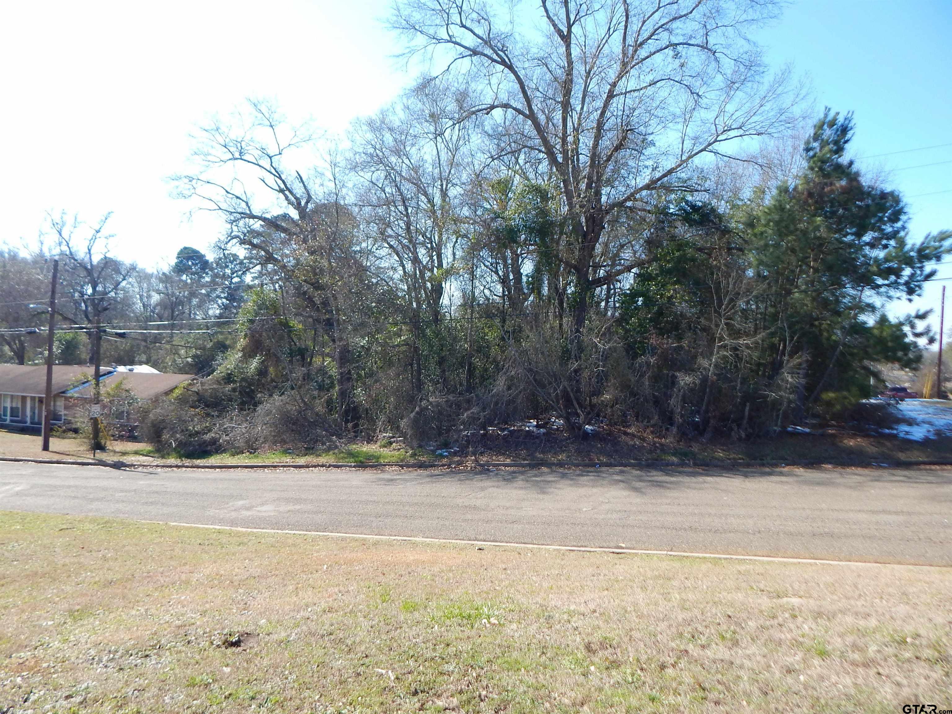 Tbd Tbd Drive Gilmer, TX 75644 - Photo 1 of 9 a view of a yard with a large tree
