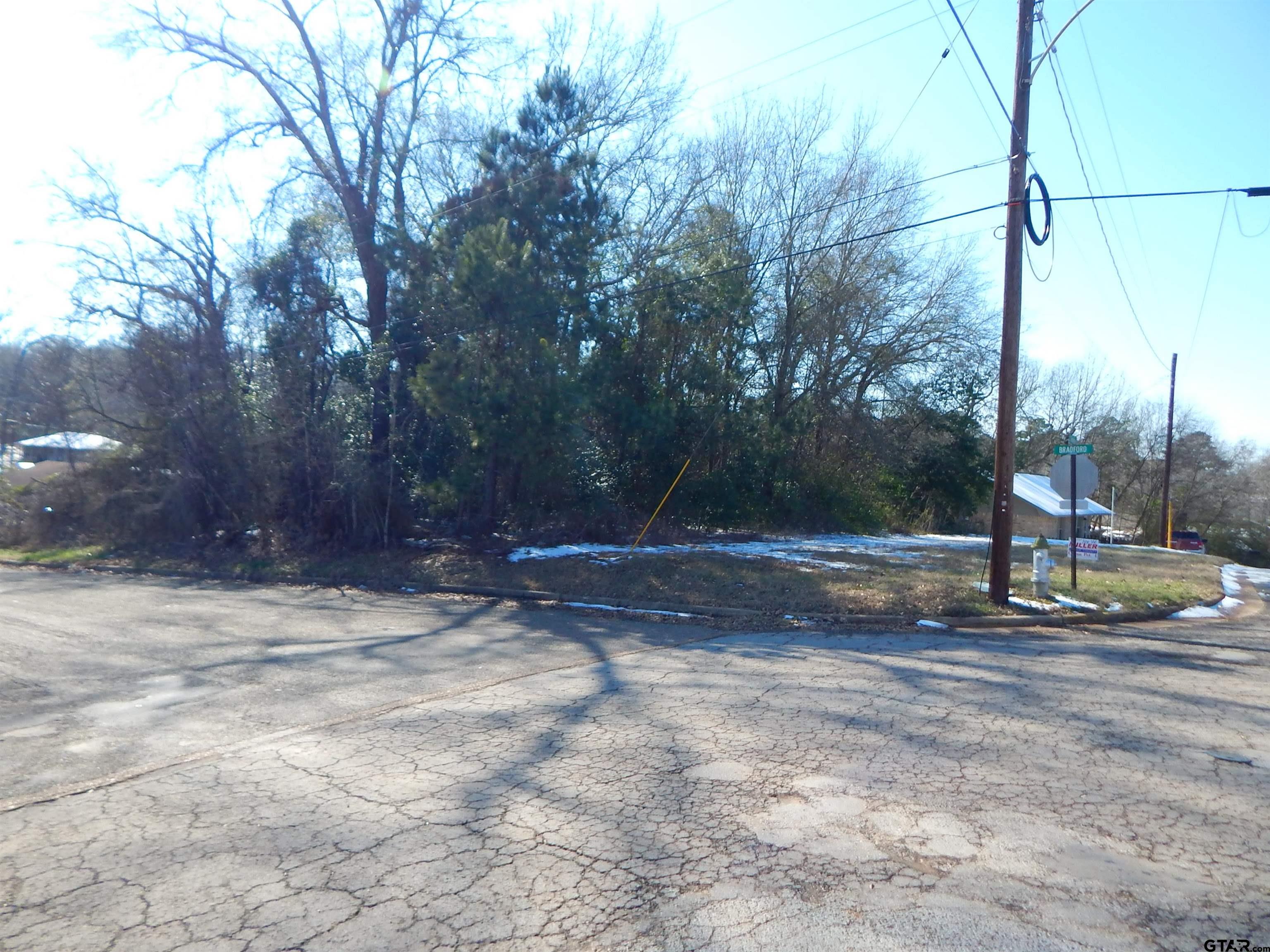Tbd Tbd Drive Gilmer, TX 75644 - Photo 2 of 9 a view of yard