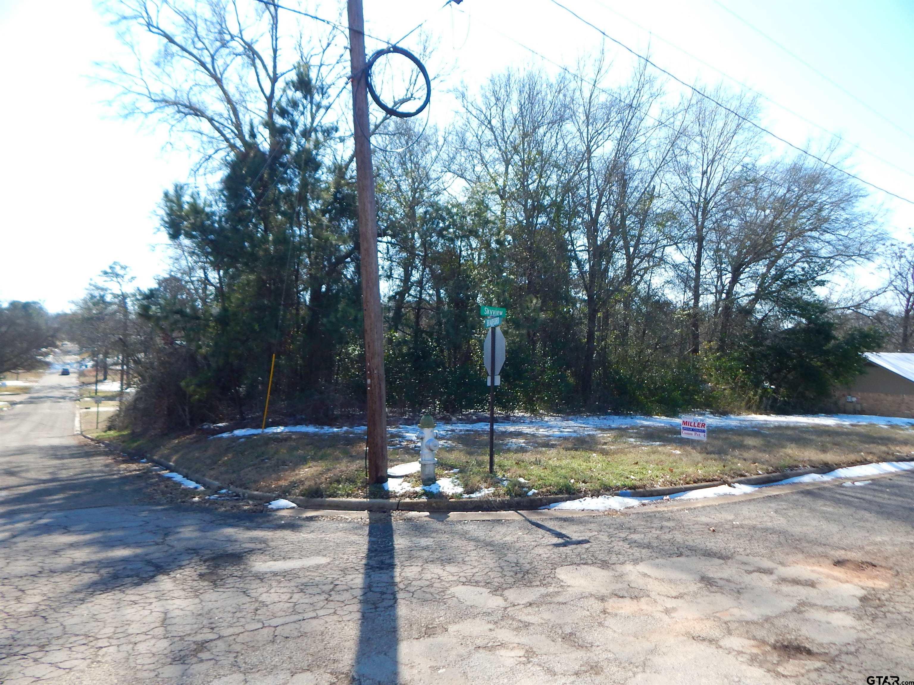 Tbd Tbd Drive Gilmer, TX 75644 - Photo 3 of 9 a view of a yard with trees in the background