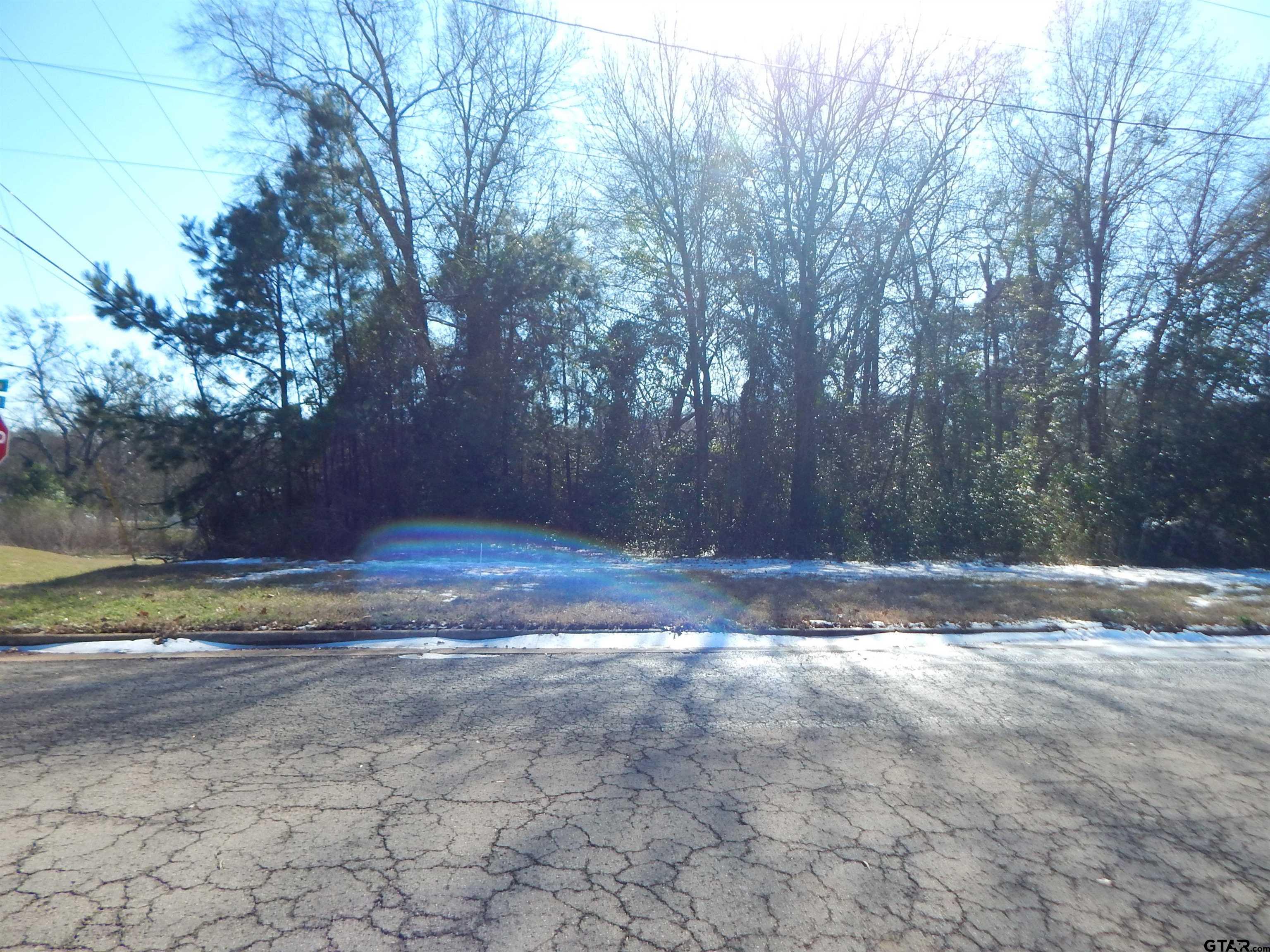 Tbd Tbd Drive Gilmer, TX 75644 - Photo 4 of 9 a view of yard with trees