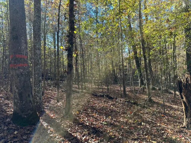 $99,000 | 1217 Edge Lane, Tignall, GA 30668