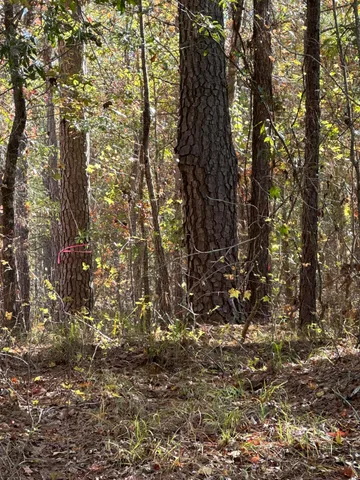 $99,000 | 1217 Edge Lane, Tignall, GA 30668