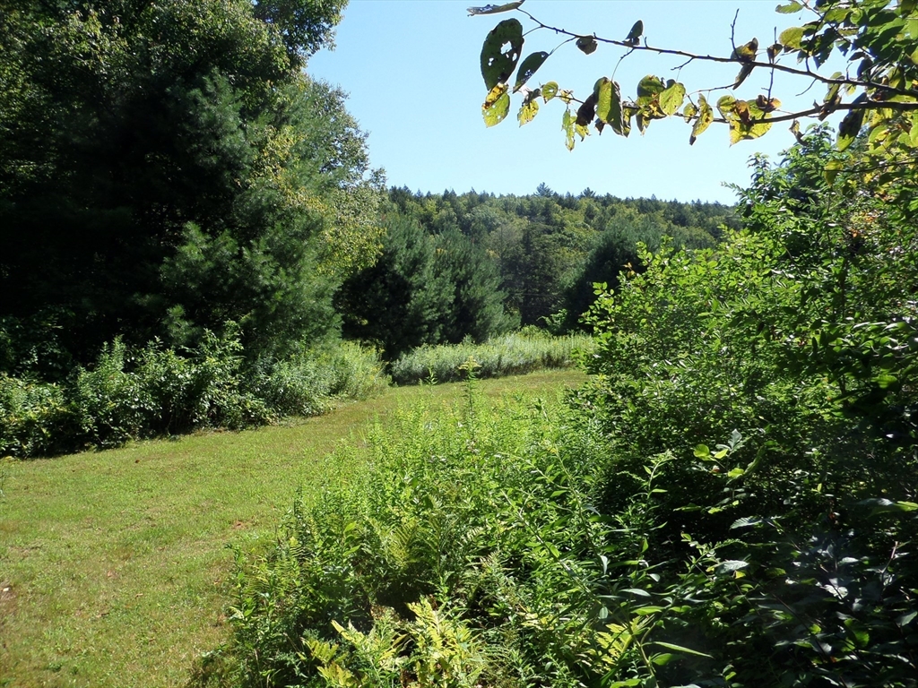 155 River Road Worthington, MA 01098 - Photo 16 of 29 a view of a park