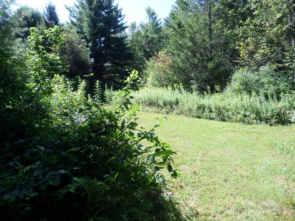 155 River Road Worthington, MA 01098 - Photo 20 of 29 a view of a garden with a tree