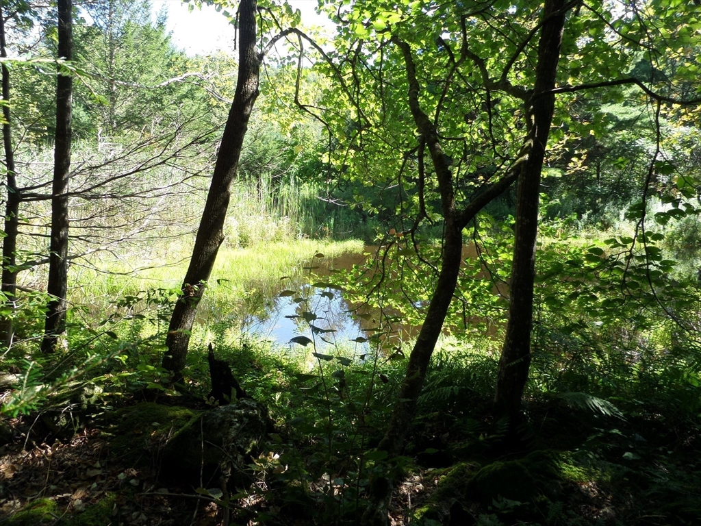 155 River Road Worthington, MA 01098 - Photo 21 of 29